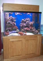 furniture quality aquarium stand plans
