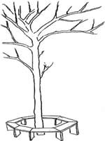 very basic tree bench plans