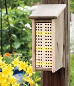 mason bee - beehive plans