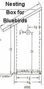 bluebird birdhouse plans and nesting box