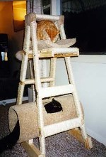 cat ladder plan