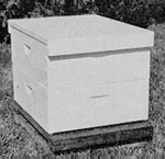 Dadanth-depth shallow beehive plans