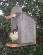 general store birdhouse plans