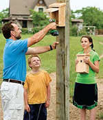 kid's birdhouse plans