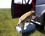 Rigid styrofoam dog steps plans