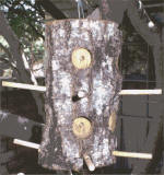 log bird feeder plans