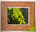 picture frame plans