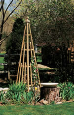 pyramid trellis plans