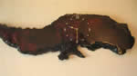 redwood burl wall clock plans