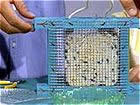 suet bird feeder plans